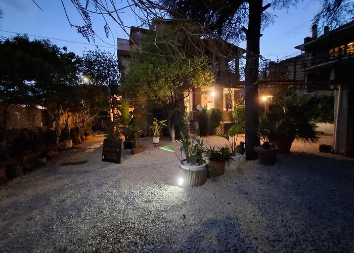 Piccola Single 3* Acilia